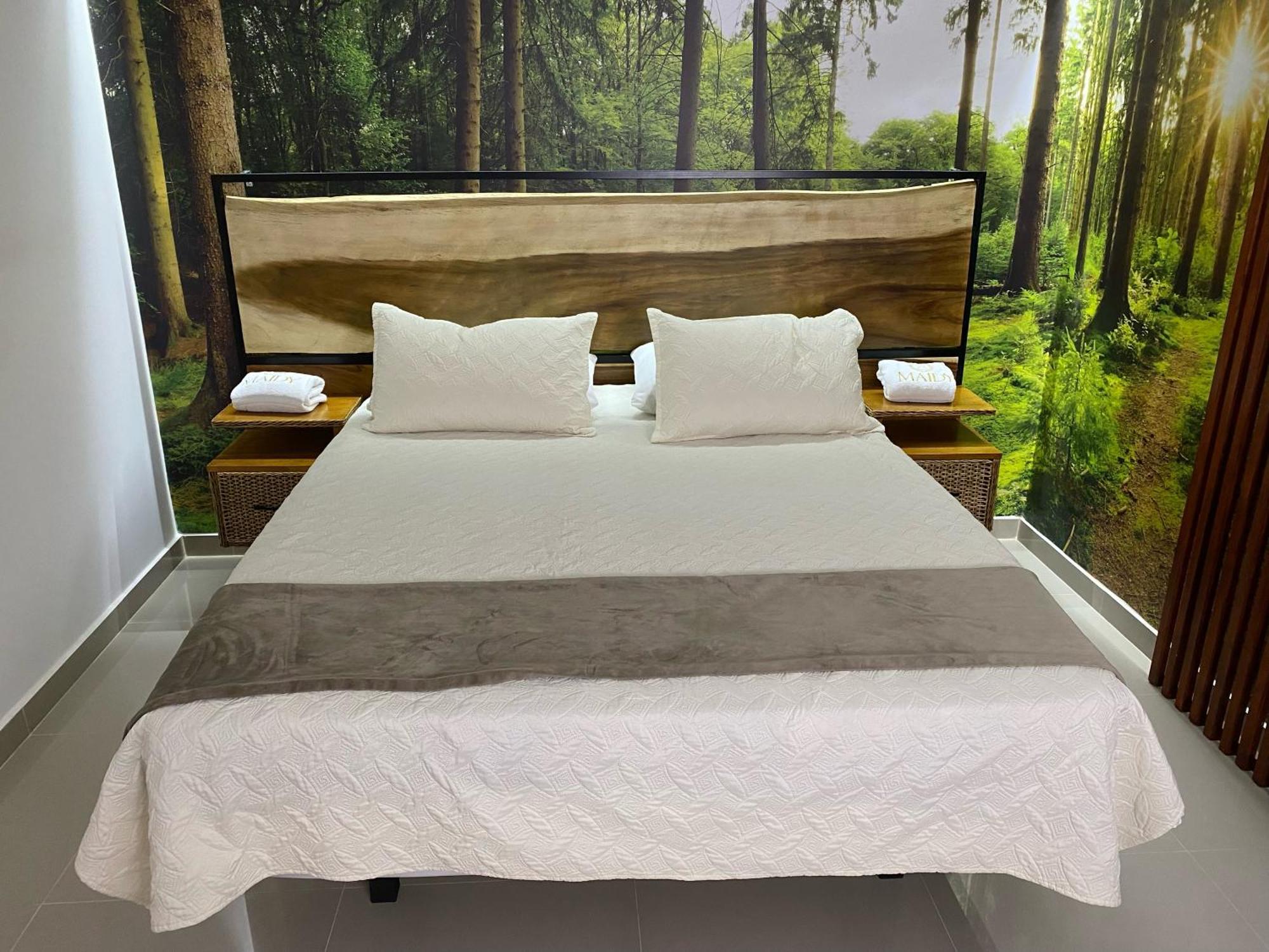 Maidy Luxury Hotel 麦德林 外观 照片